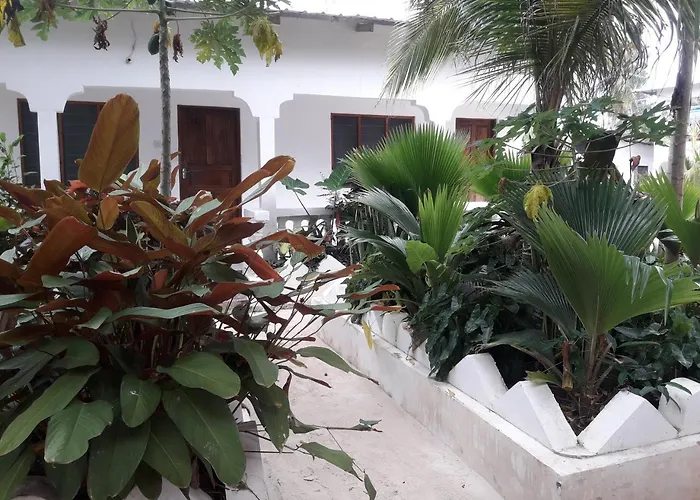 Ebony & Ivory Bungalows